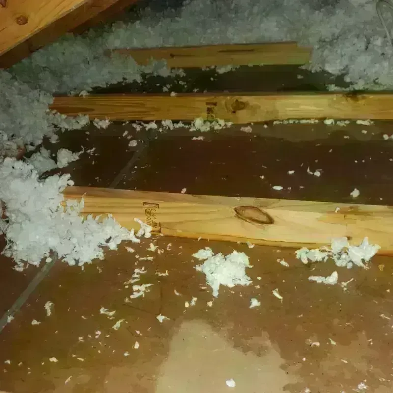 Attic Water Damage in Glenmore, WI