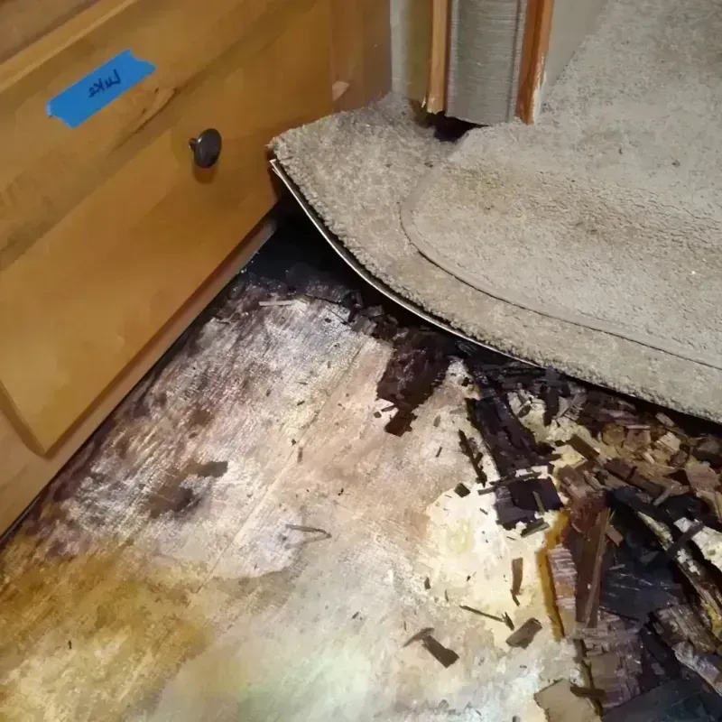 Wood Floor Water Damage in Glenmore, WI